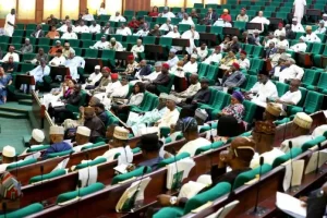 National Assembly Members